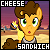 Characters: Cheese Sandwich